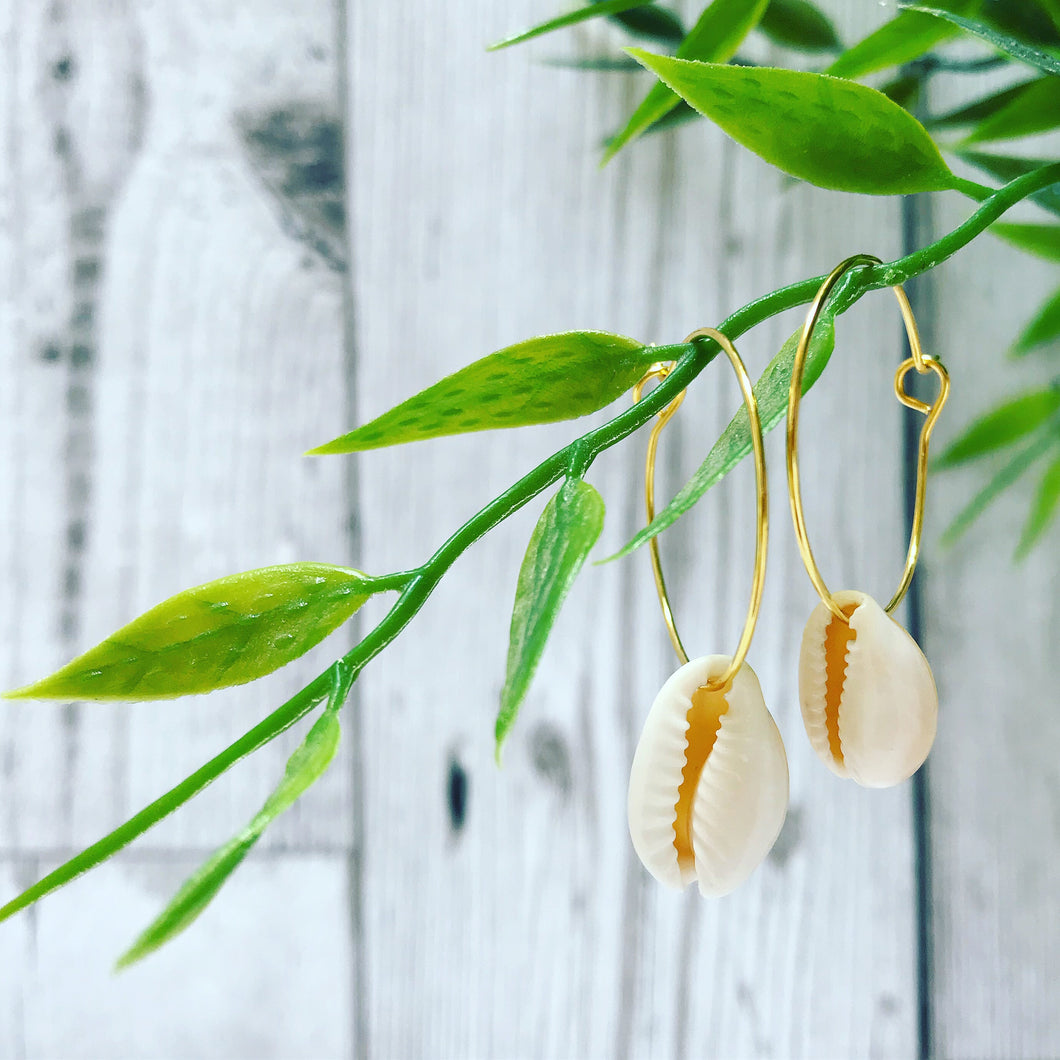 Cowrie shells on gold hoop earrings