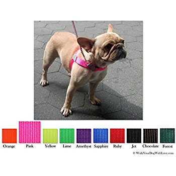 This lead really does stop a dog from pulling!