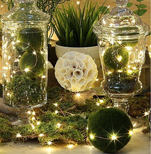 Nicest ever decorative lights!