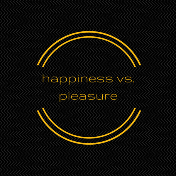 The difference between happiness... and pleasure