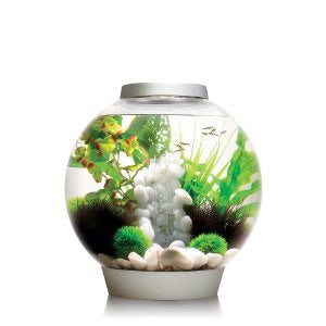 Best fish tank ever!