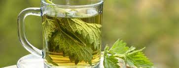 Health benefits of drinking nettle tea!