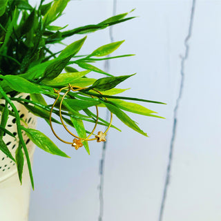 Miniature gold star hoops