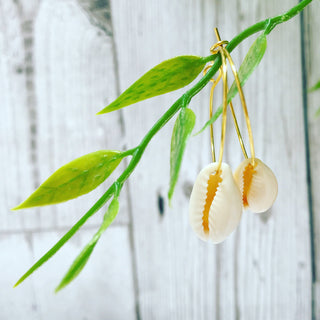 Cowrie shells on gold hoop earrings