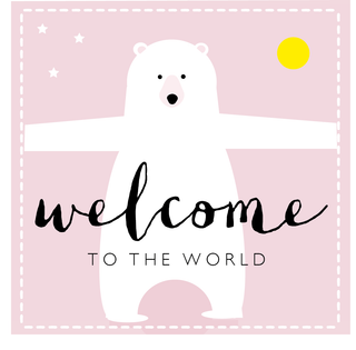 Welcome to the world bear (pink or blue available)