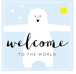 Welcome to the world bear (pink or blue available)